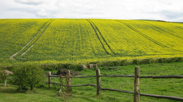 agriculture-g67583815a_1280.jpg